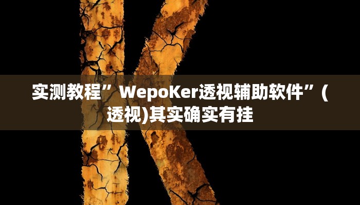 实测教程”WepoKer透视辅助软件”(透视)其实确实有挂 实测教程”WepoKer透视辅助软件”(透视)其实确实有挂