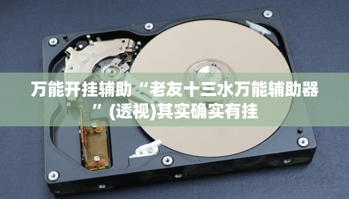 万能开挂辅助“老友十三水万能辅助器”(透视)其实确实有挂 万能开挂辅助“老友十三水万能辅助器”(透视)其实确实有挂