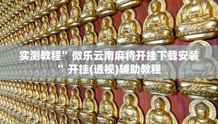 实测教程”微乐云南麻将开挂下载安装”开挂(透视)辅助教程