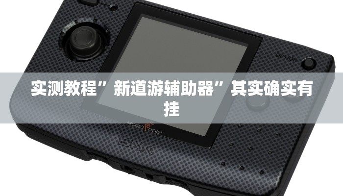 实测教程”新道游辅助器”其实确实有挂