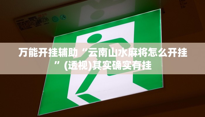 万能开挂辅助“云南山水麻将怎么开挂”(透视)其实确实有挂