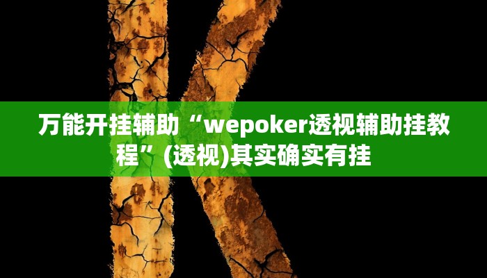 万能开挂辅助“wepoker透视辅助挂教程”(透视)其实确实有挂 万能开挂辅助“wepoker透视辅助挂教程”(透视)其实确实有挂