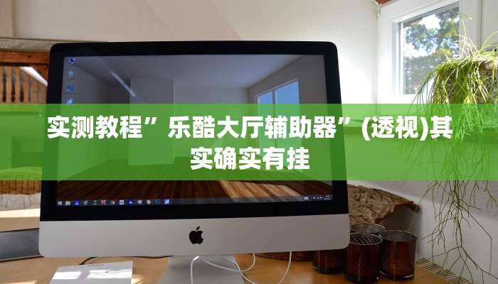 实测教程”乐酷大厅辅助器”(透视)其实确实有挂