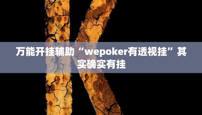 万能开挂辅助“wepoker有透视挂”其实确实有挂