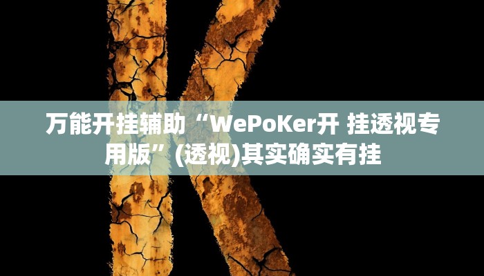 万能开挂辅助“WePoKer开 挂透视专用版”(透视)其实确实有挂 万能开挂辅助“WePoKer开 挂透视专用版”(透视)其实确实有挂