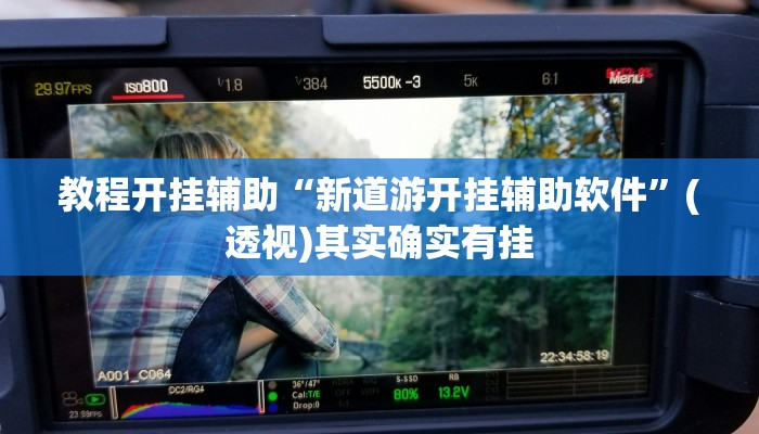教程开挂辅助“新道游开挂辅助软件”(透视)其实确实有挂