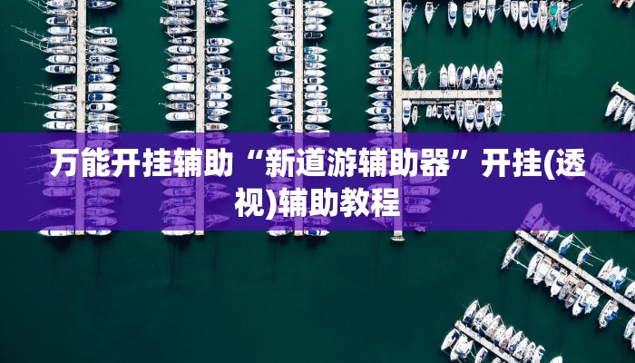 万能开挂辅助“新道游辅助器”开挂(透视)辅助教程 万能开挂辅助“新道游辅助器”开挂(透视)辅助教程
