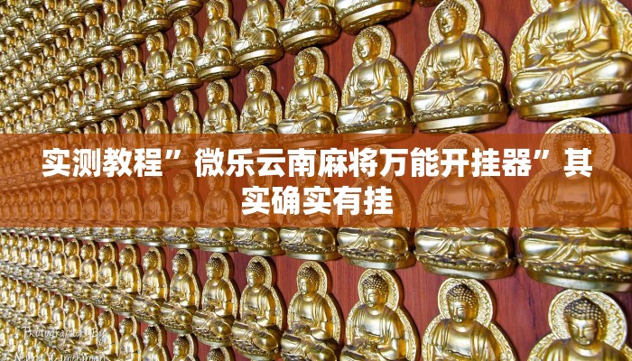 实测教程”微乐云南麻将万能开挂器”其实确实有挂 实测教程”微乐云南麻将万能开挂器”其实确实有挂