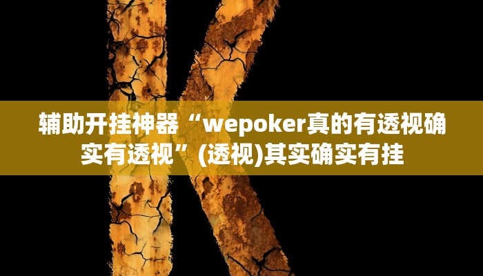 辅助开挂神器“wepoker真的有透视确实有透视”(透视)其实确实有挂