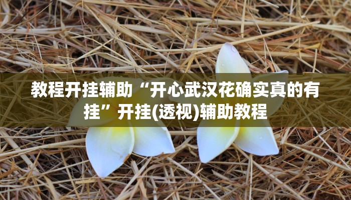 教程开挂辅助“开心武汉花确实真的有挂”开挂(透视)辅助教程