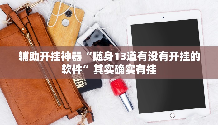 辅助开挂神器“随身13道有没有开挂的软件”其实确实有挂