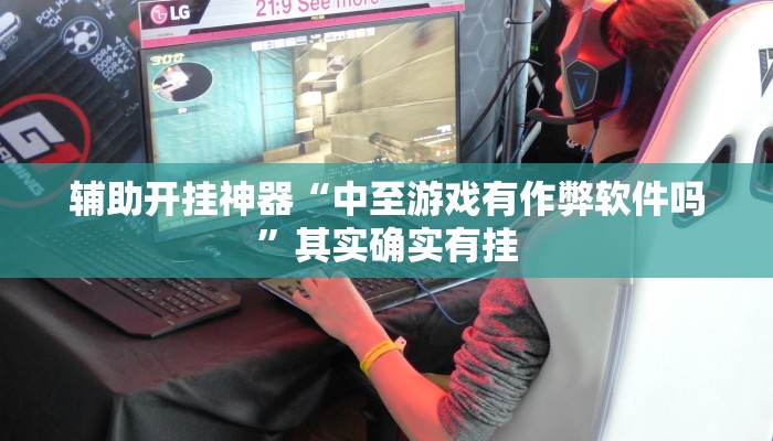 辅助开挂神器“中至游戏有作弊软件吗”其实确实有挂 辅助开挂神器“中至游戏有作弊软件吗”其实确实有挂