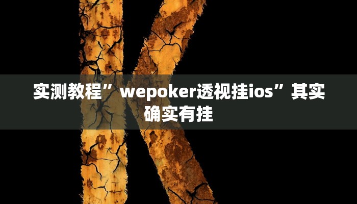 万能开挂辅助“灵动休闲如何开挂视频”(透视)其实确实有挂