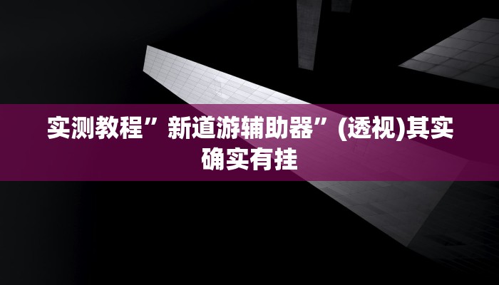 实测教程”新道游辅助器”(透视)其实确实有挂 实测教程”新道游辅助器”(透视)其实确实有挂