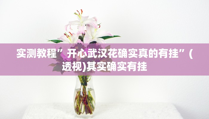 实测教程”开心武汉花确实真的有挂”(透视)其实确实有挂 实测教程”开心武汉花确实真的有挂”(透视)其实确实有挂