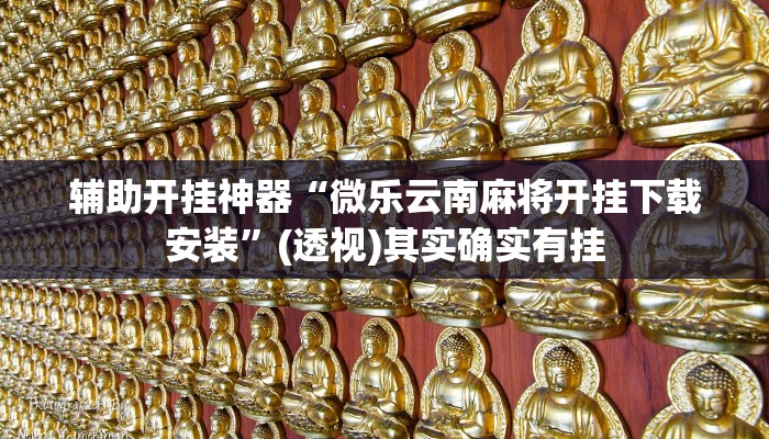 辅助开挂神器“微乐云南麻将开挂下载安装”(透视)其实确实有挂 辅助开挂神器“微乐云南麻将开挂下载安装”(透视)其实确实有挂
