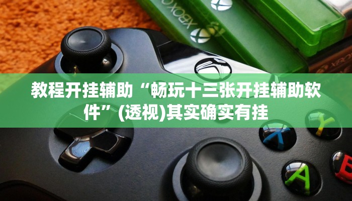 教程开挂辅助“畅玩十三张开挂辅助软件”(透视)其实确实有挂 教程开挂辅助“畅玩十三张开挂辅助软件”(透视)其实确实有挂