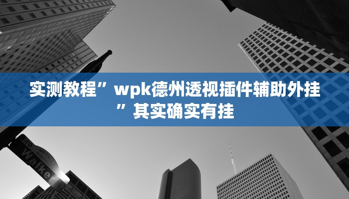 实测教程”wpk德州透视插件辅助外挂”其实确实有挂
