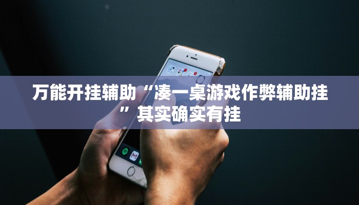 实测教程”陕麻圈外卦神器”(透视)其实确实有挂