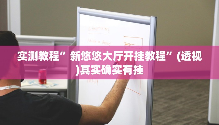 辅助开挂神器“十三张辅助软件开挂”其实确实有挂