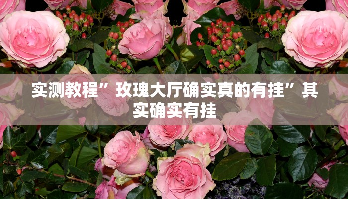实测教程”玫瑰大厅确实真的有挂”其实确实有挂 实测教程”玫瑰大厅确实真的有挂”其实确实有挂
