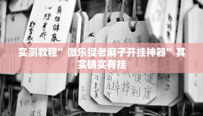 辅助开挂神器“同城跑胡子辅助神器下载安装通用版”开挂(透视)辅助教程