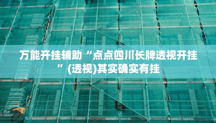辅助开挂神器“陕西微乐麻将万能开挂器”(透视)其实确实有挂