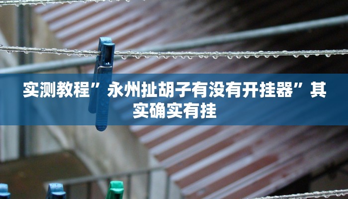 实测教程”永州扯胡子有没有开挂器”其实确实有挂