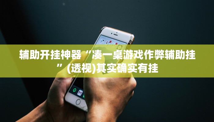 辅助开挂神器“凑一桌游戏作弊辅助挂”(透视)其实确实有挂