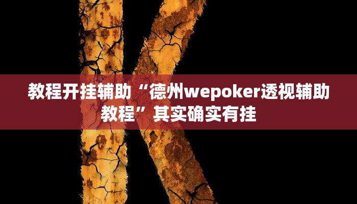教程开挂辅助“德州wepoker透视辅助教程”其实确实有挂