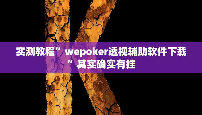 实测教程”wepoker透视辅助软件下载”其实确实有挂