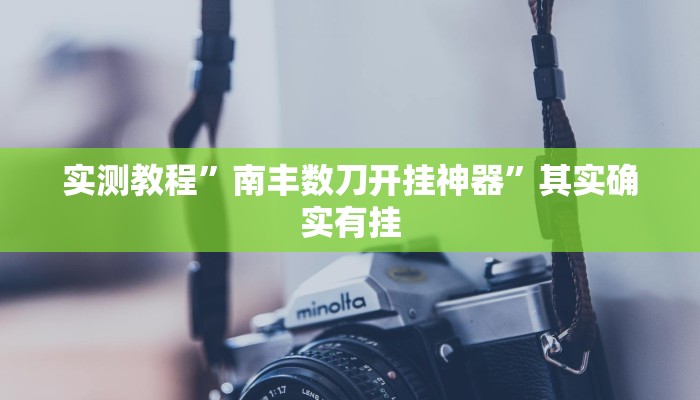 实测教程”南丰数刀开挂神器”其实确实有挂