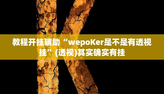 教程开挂辅助“wepoKer是不是有透视挂”(透视)其实确实有挂