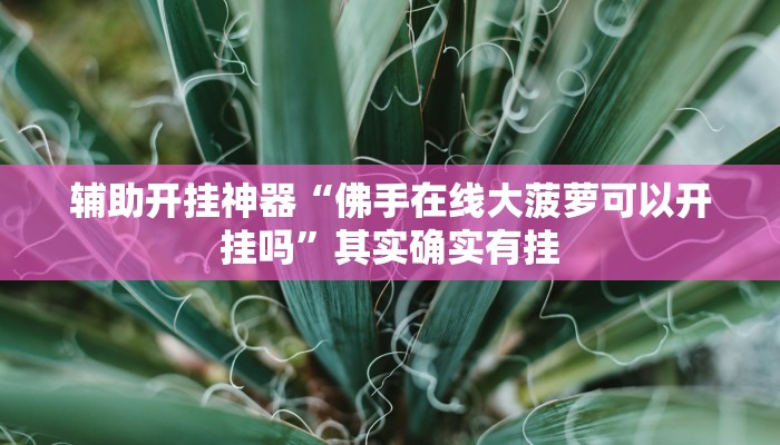实测教程”微乐四川麻将小程序外卦神器下载安装”开挂(透视)辅助教程 实测教程”微乐四川麻将小程序外卦神器下载安装”开挂(透视)辅助教程