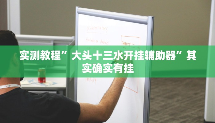 实测教程”大头十三水开挂辅助器”其实确实有挂