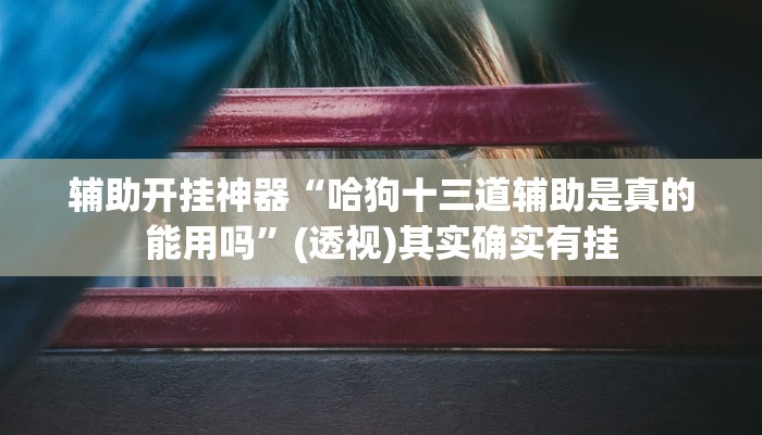 辅助开挂神器“哈狗十三道辅助是真的能用吗”(透视)其实确实有挂