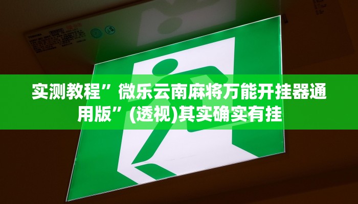 实测教程”微乐云南麻将万能开挂器通用版”(透视)其实确实有挂