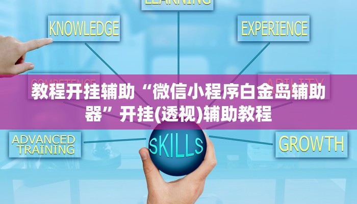教程开挂辅助“微信小程序白金岛辅助器”开挂(透视)辅助教程