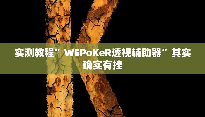 实测教程”WEPoKeR透视辅助器”其实确实有挂