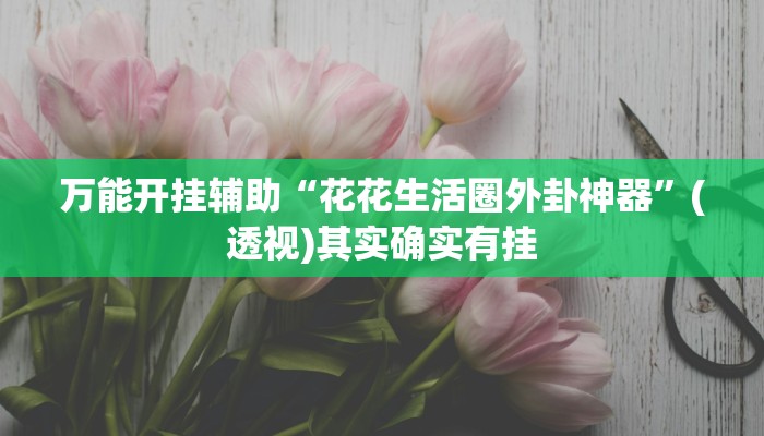 万能开挂辅助“花花生活圈外卦神器”(透视)其实确实有挂