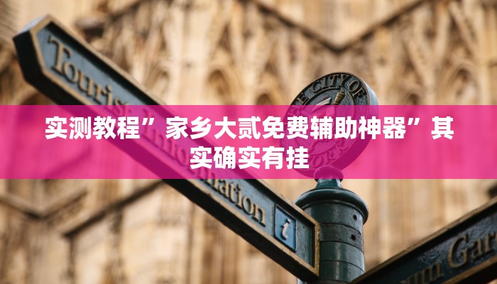 实测教程”家乡大贰免费辅助神器”其实确实有挂