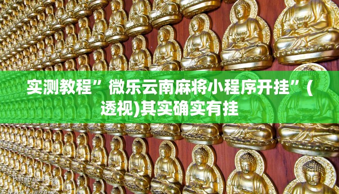 实测教程”微乐云南麻将小程序开挂”(透视)其实确实有挂