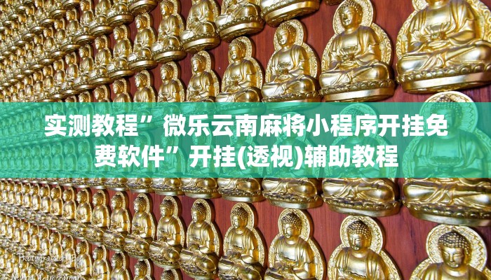实测教程”微乐云南麻将小程序开挂免费软件”开挂(透视)辅助教程