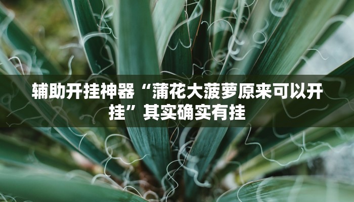 辅助开挂神器“蒲花大菠萝原来可以开挂”其实确实有挂