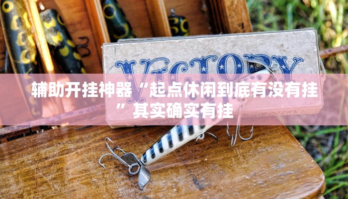 辅助开挂神器“起点休闲到底有没有挂”其实确实有挂