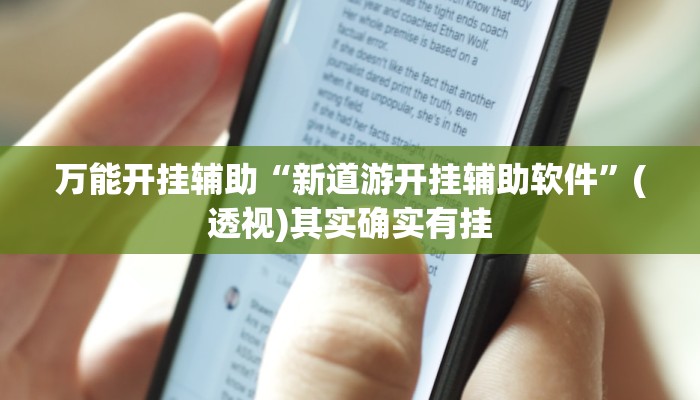 万能开挂辅助“新道游开挂辅助软件”(透视)其实确实有挂