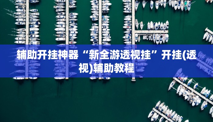 辅助开挂神器“新全游透视挂”开挂(透视)辅助教程