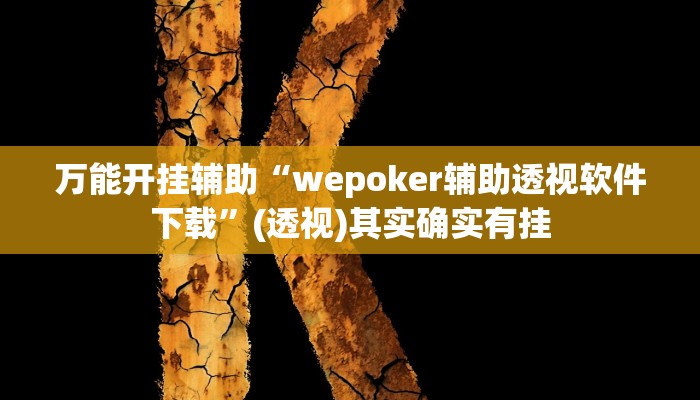 万能开挂辅助“wepoker辅助透视软件下载”(透视)其实确实有挂