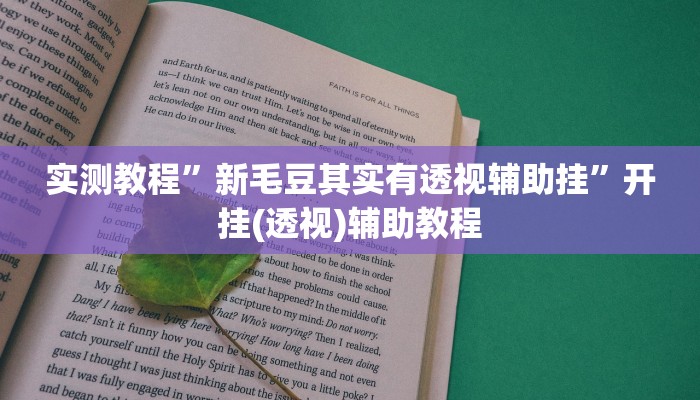 实测教程”新毛豆其实有透视辅助挂”开挂(透视)辅助教程