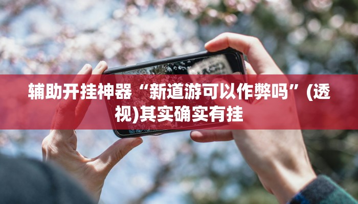 辅助开挂神器“新道游可以作弊吗”(透视)其实确实有挂
